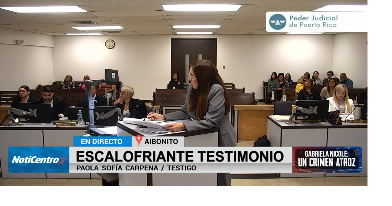 Testigo describe puños y patadas en reyerta donde fue asesinada Gabriela Nicole Pratts
