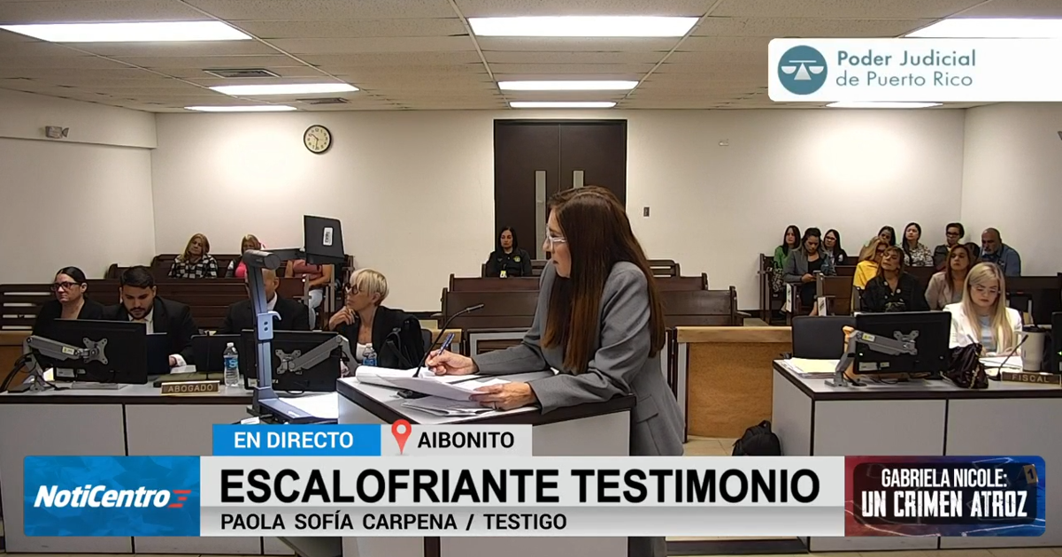 Testigo describe puños y patadas en reyerta donde fue asesinada Gabriela Nicole Pratts