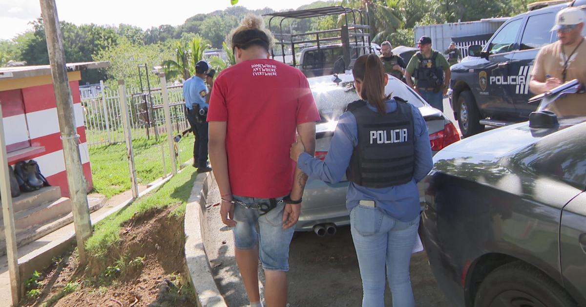 Arrestan a "Paleta" por tiroteos en disputa territorial de drogas en Brisas de Cupey