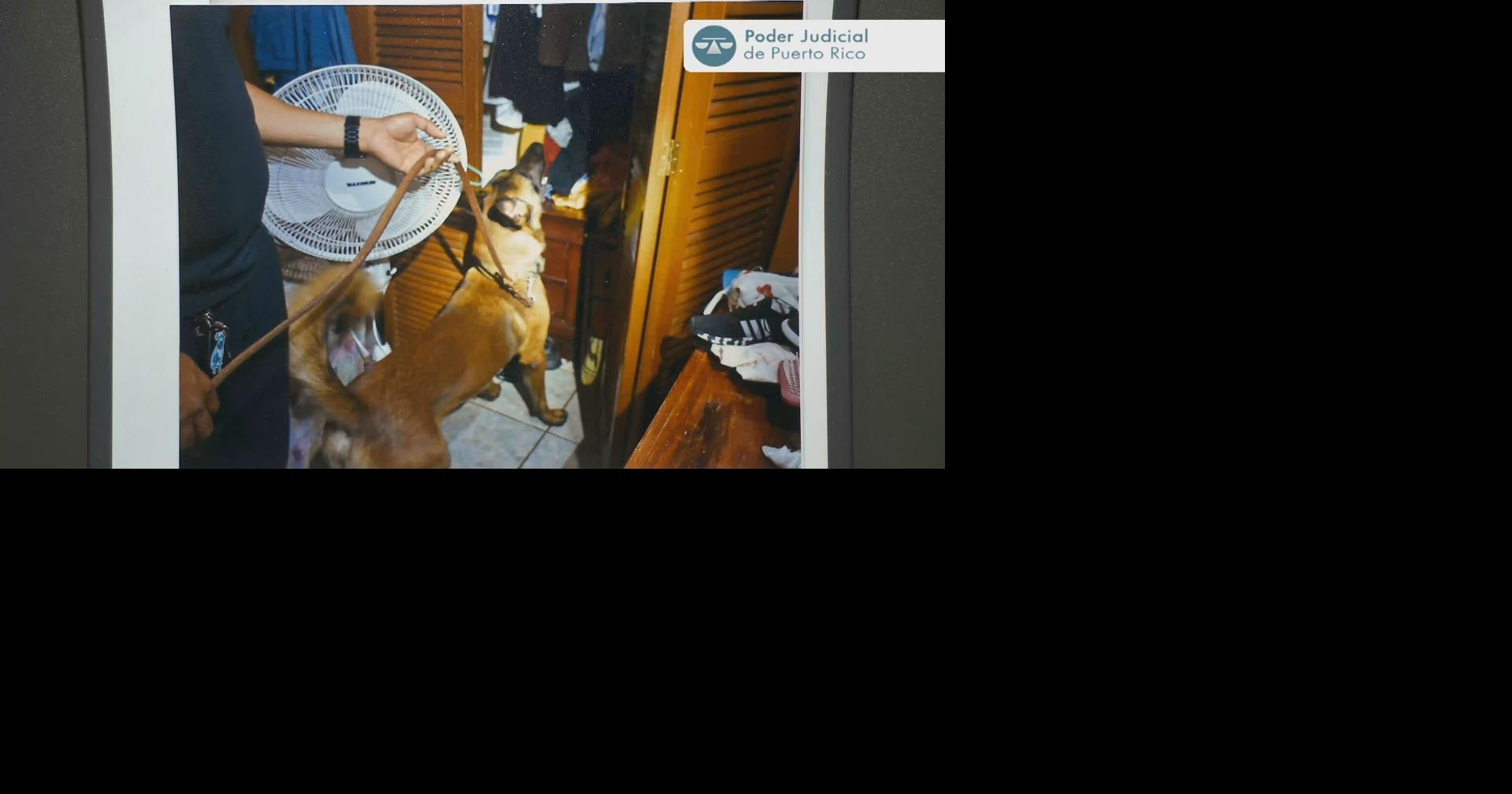 Presentan fotos de allanamiento en casa de Elvia Cabrera durante juicio
