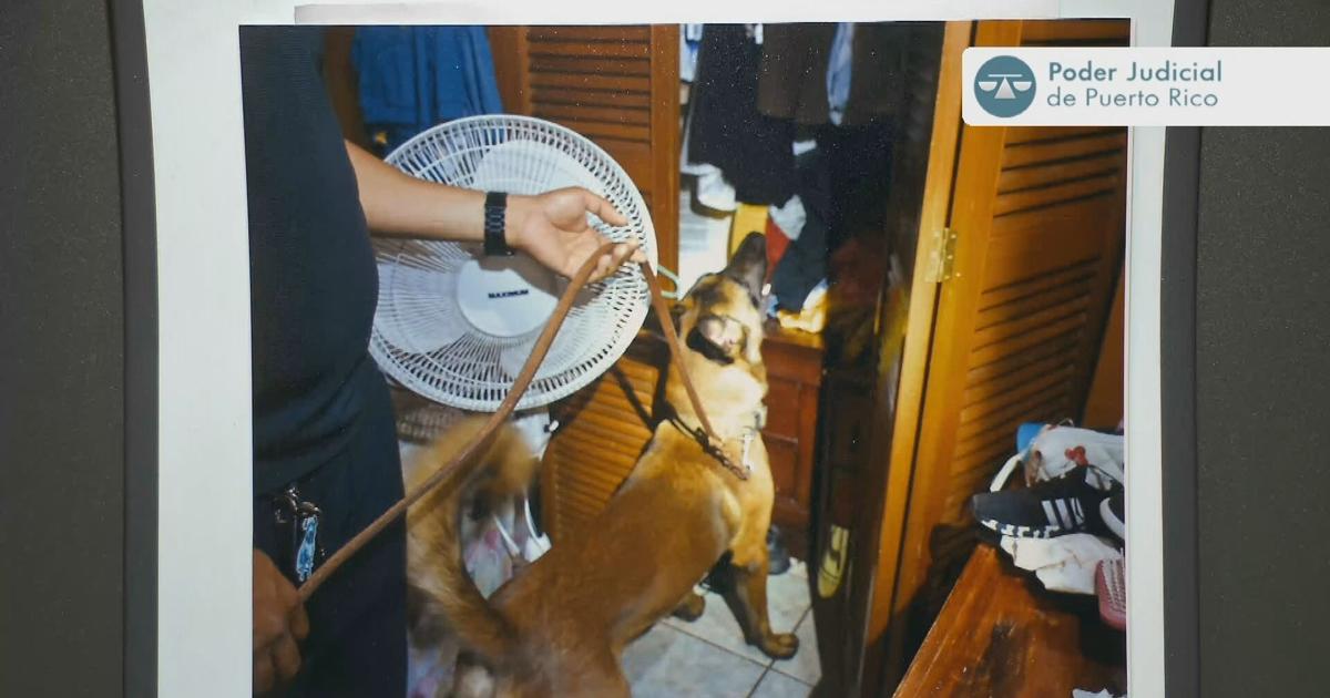Presentan fotos de allanamiento en casa de Elvia Cabrera durante juicio