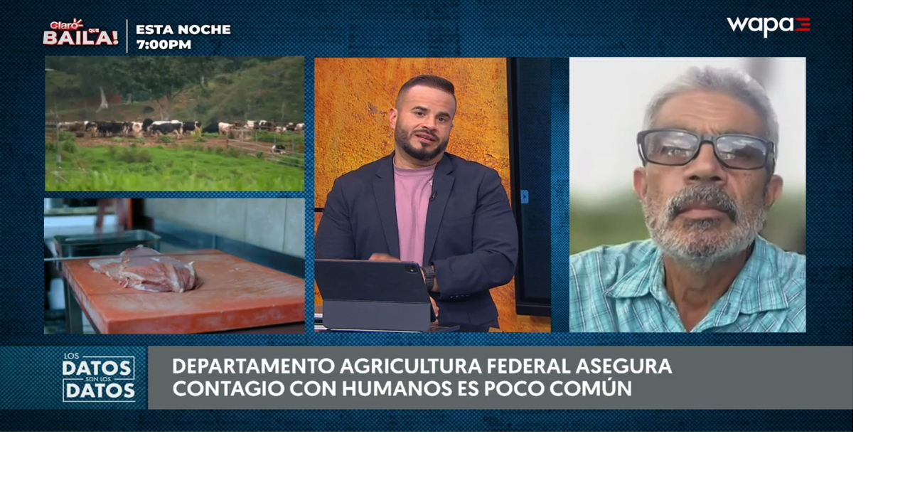 Agrónomo descarta pánico en Puerto Rico por hallazgo de gusano barrenador en Texas