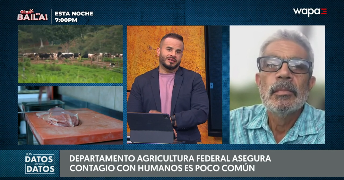 Agrónomo descarta pánico en Puerto Rico por hallazgo de gusano barrenador en Texas