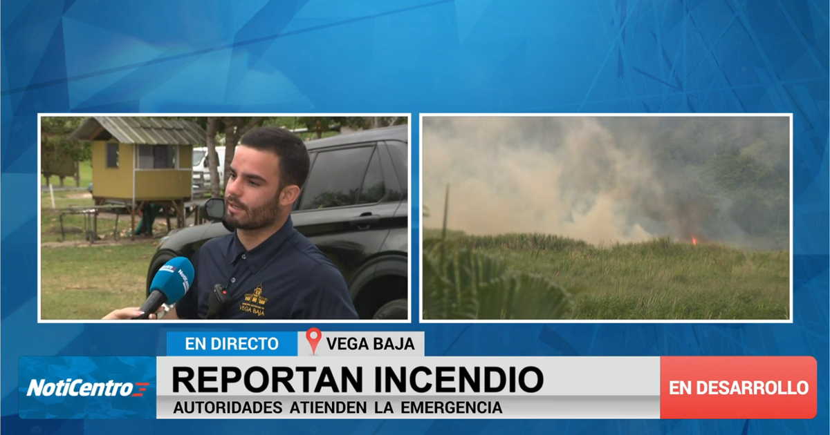 Manejo de Emergencia atiende fuego forestal en Vega Baja