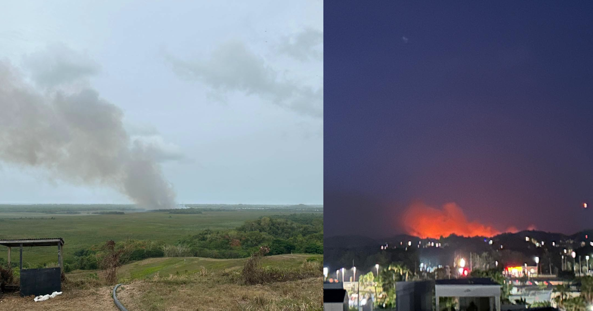 Bomberos atienden incendios forestales en Ponce, Toa Alta, Caguas, Juncos y Canóvanas
