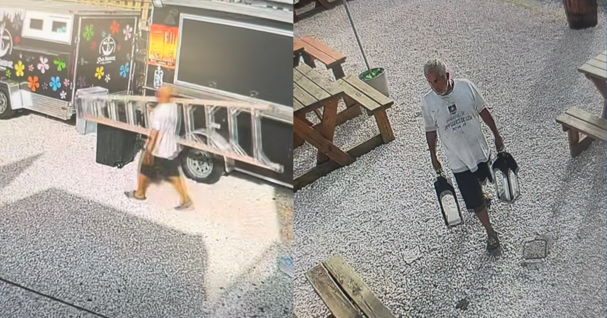 Comercio en Santurce denuncia en redes a presunto ladrón captado en cámaras