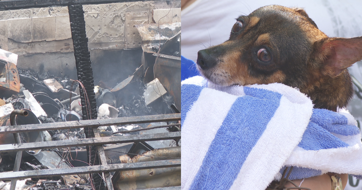 Matrimonio de adultos mayores muere calcinado en incendio en Mayagüez tras posible fallo eléctrico