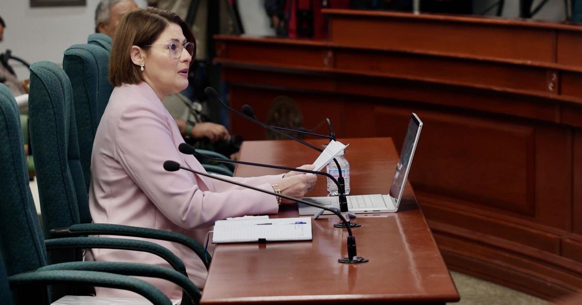 Exdirectora de la AEE acusa a zar de Energía de tener "estilo de supervisión dictatorial"