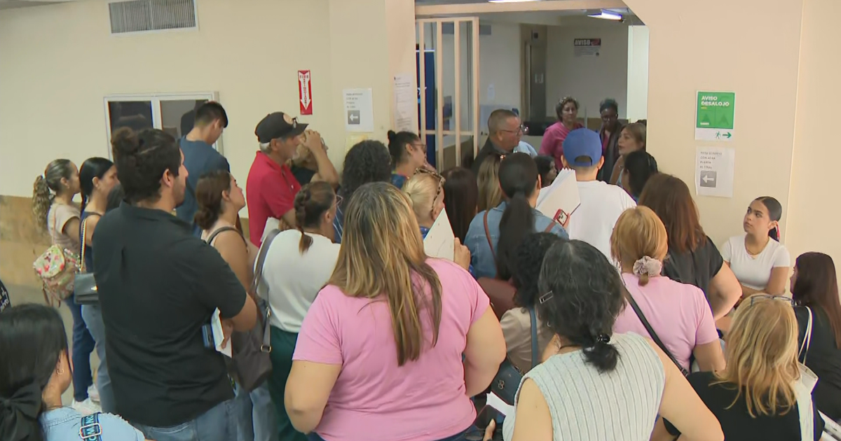 Caos continúa en oficina del desempleo de Arecibo por fallas en nueva plataforma digital