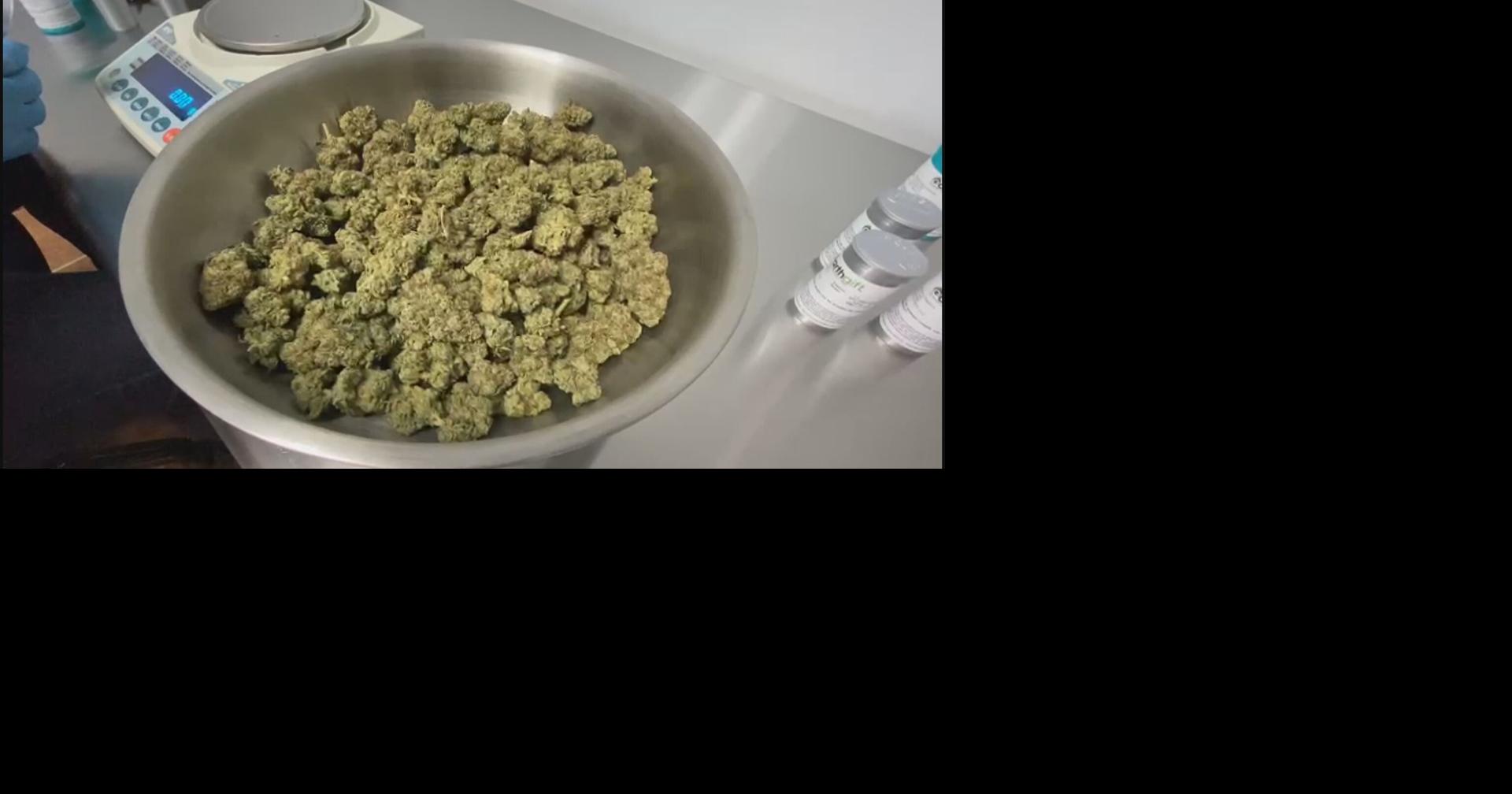 Senado inspecciona laboratorios de cannabis medicinal y halla áreas de mejora