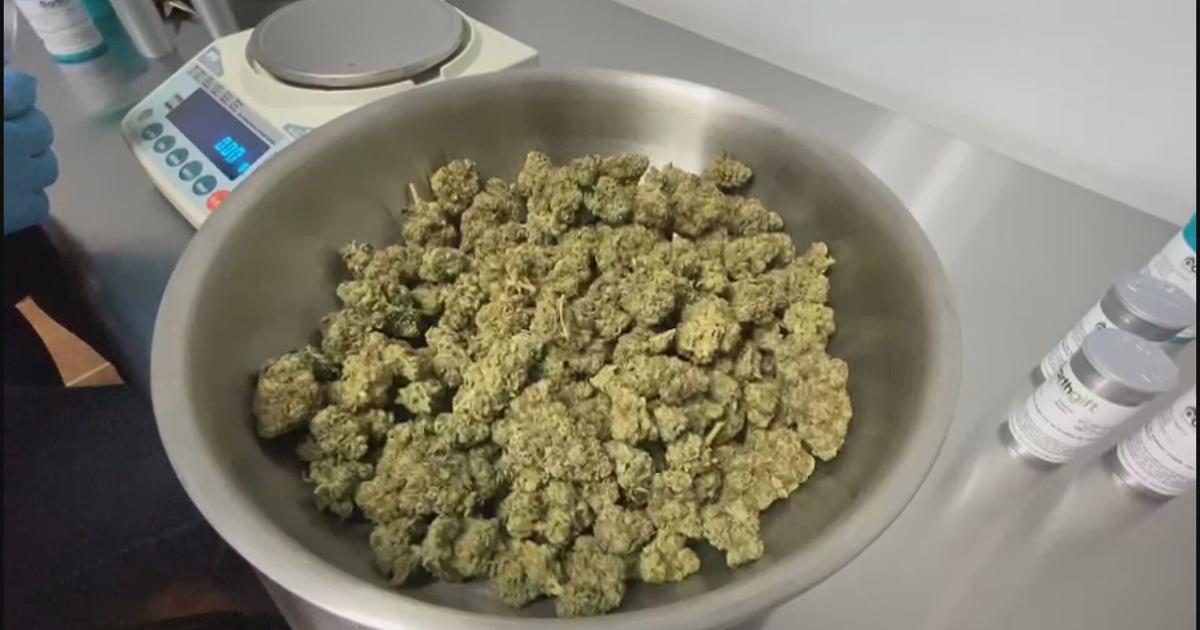 Senado inspecciona laboratorios de cannabis medicinal y halla áreas de mejora