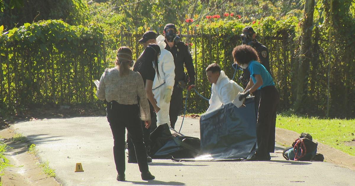 Aún sin identificar cuerpos de pareja encontrada atada de manos y tirada en carretera de Caimito