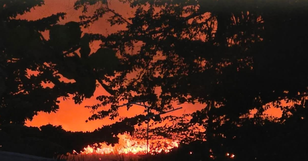 Incendio forestal en Vega Baja afecta casas aledañas sin reportar heridos