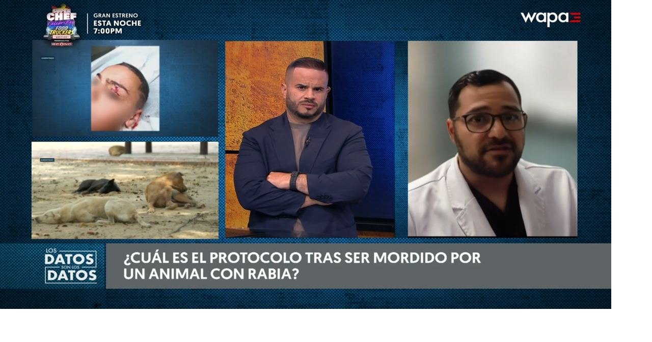 Médico explica protocolo tras mordedura de animal con rabia en Puerto Rico