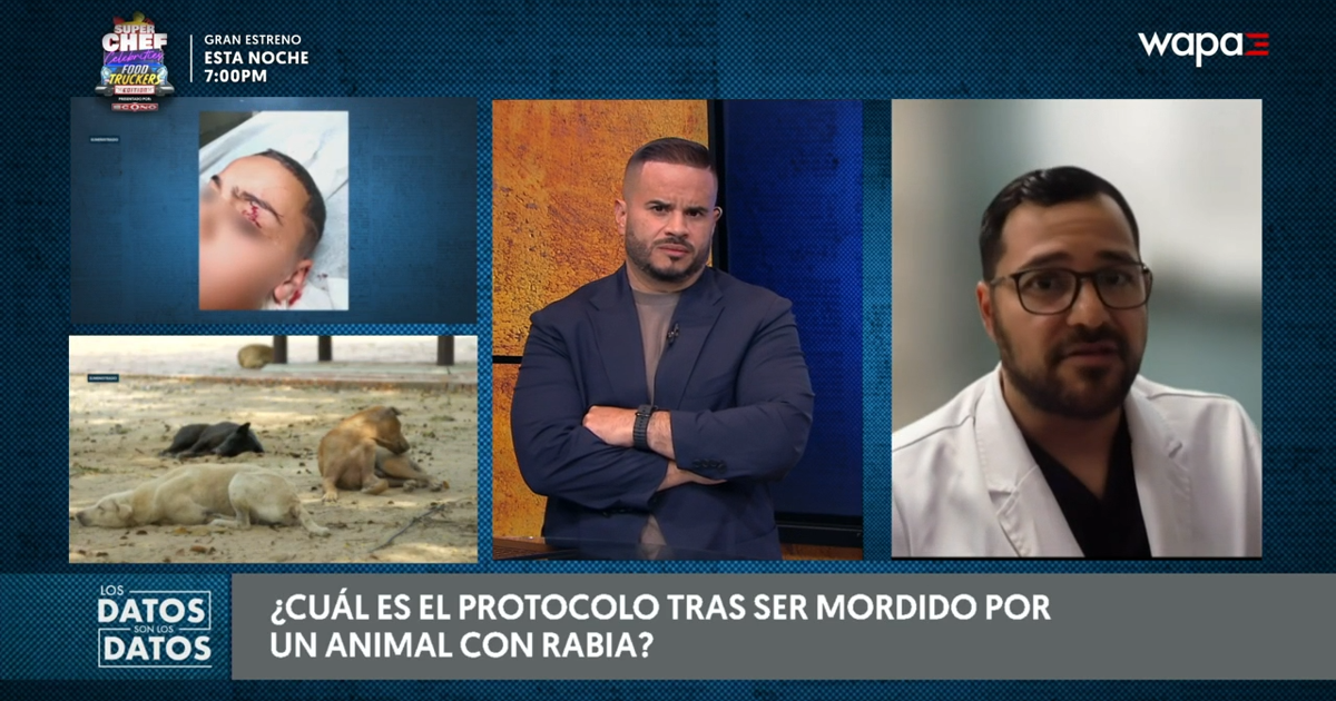 Médico explica protocolo tras mordedura de animal con rabia en Puerto Rico