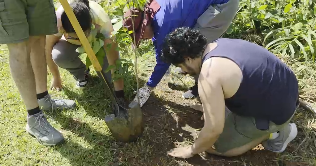 Jóvenes con discapacidad intelectual siembran árboles nativos en Guaynabo