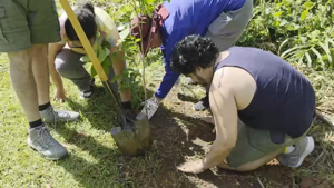 Imagen del artículo de WAPA: Jóvenes con discapacidad intelectual transforman su espacio en Guaynabo con siembra de árboles