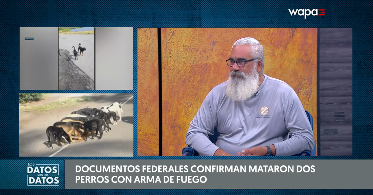 Documentos federales confirman muerte de perros a tiros cerca de Roosevelt Roads en Ceiba