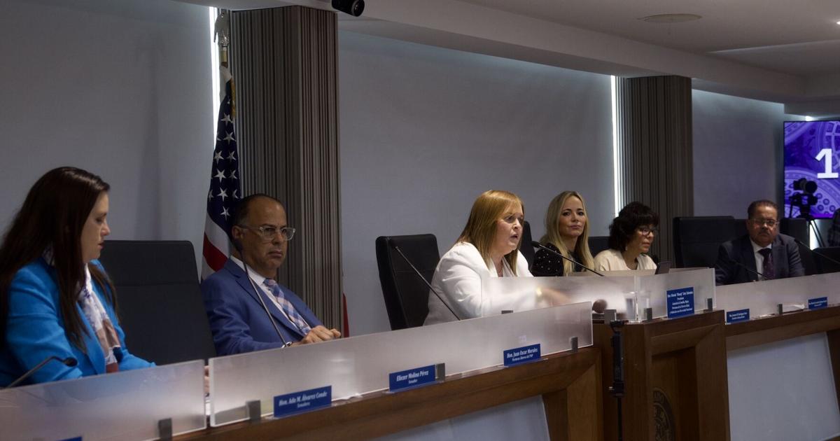 Senadora PNP concluye que Suzanne Roig dejó "varias cosas preocupantes"