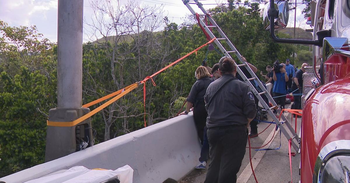 Guardia de seguridad sobrevive caída de 80 pies por precipicio en autopista PR-52