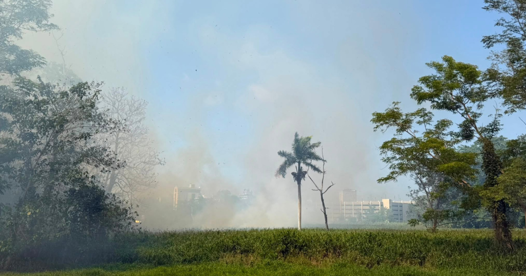 Bomberos extinguen incendio forestal en el Jardín Botánico de Río Piedras tras más de ocho horas