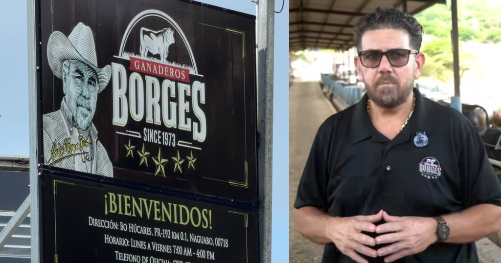 Federales acusan a Ganaderos Borges y cuatro empleados por contaminar aguas en Naguabo