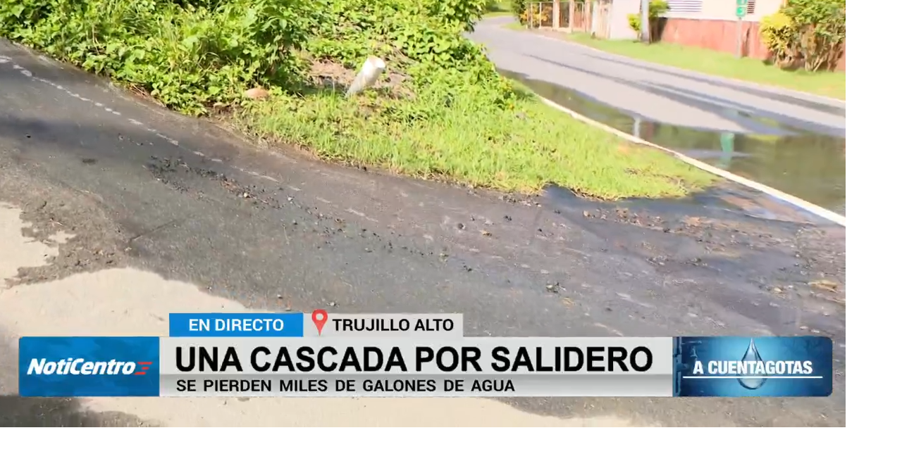 Salidero en carretera 941 desperdicia agua por días en sector El Lago de Trujillo Alto
