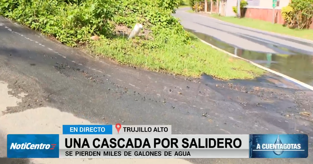 Salidero en carretera 941 desperdicia agua por días en sector El Lago de Trujillo Alto