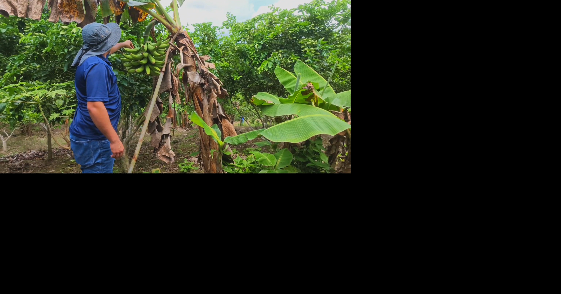 Joven agrónomo de Caguas lleva productos locales directo a los consumidores con "De mi tierra a mi pueblo"