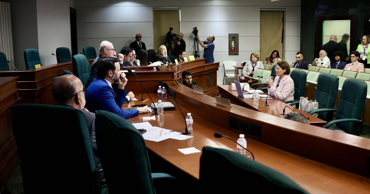 Exdirectora de AEE dice se le ocultó información sobre contrato con Power Expectations