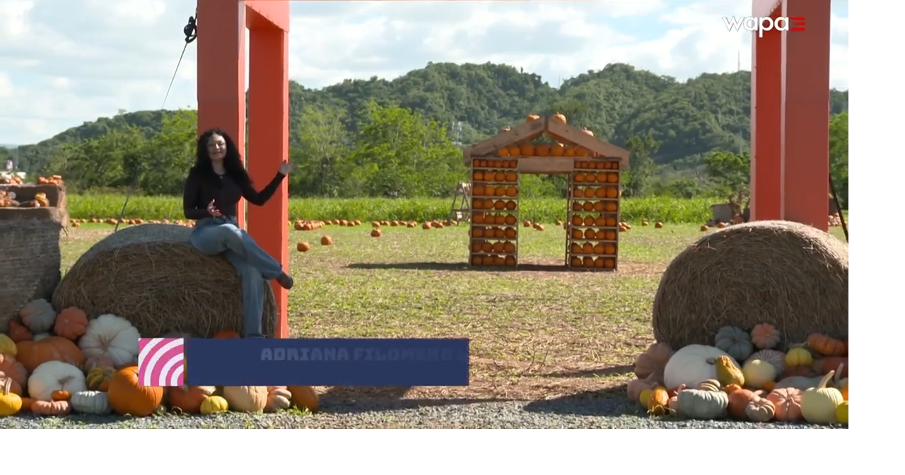 Calabazas Puerto Rico Fest ofrece diversión para toda la familia en ...