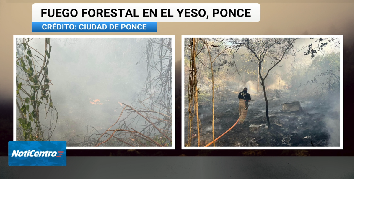 Dos incendios forestales reportados en Lajas y Ponce en medio de sequía persistente