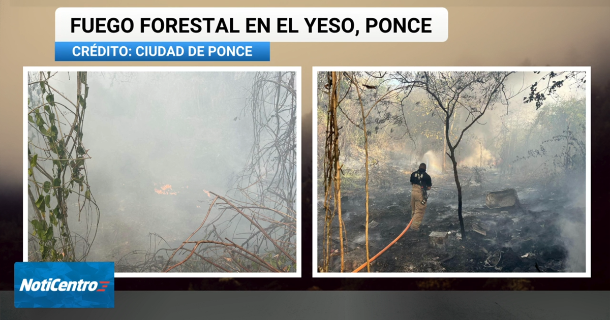 Dos incendios forestales reportados en Lajas y Ponce en medio de sequía persistente