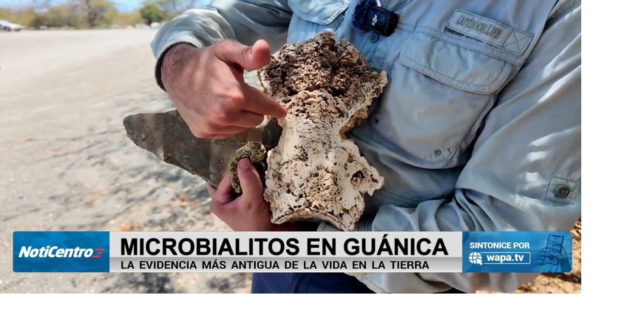 Descubren microbialitos en Guánica: los fósiles más antiguos de la Tierra hallados en PR