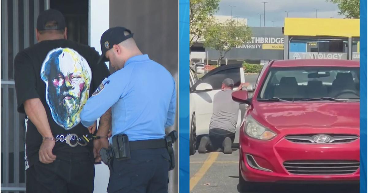 Arrestan en Toa Alta a hombre que robó retrovisor en Walmart de Bayamón