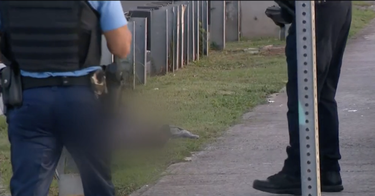 Investigan si hombre hallado muerto en carretera PR-181 en San Juan fue víctima de violencia