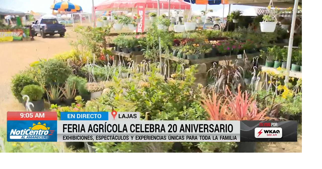 Lajas celebra el vigésimo aniversario de su Feria Nacional Agrícola