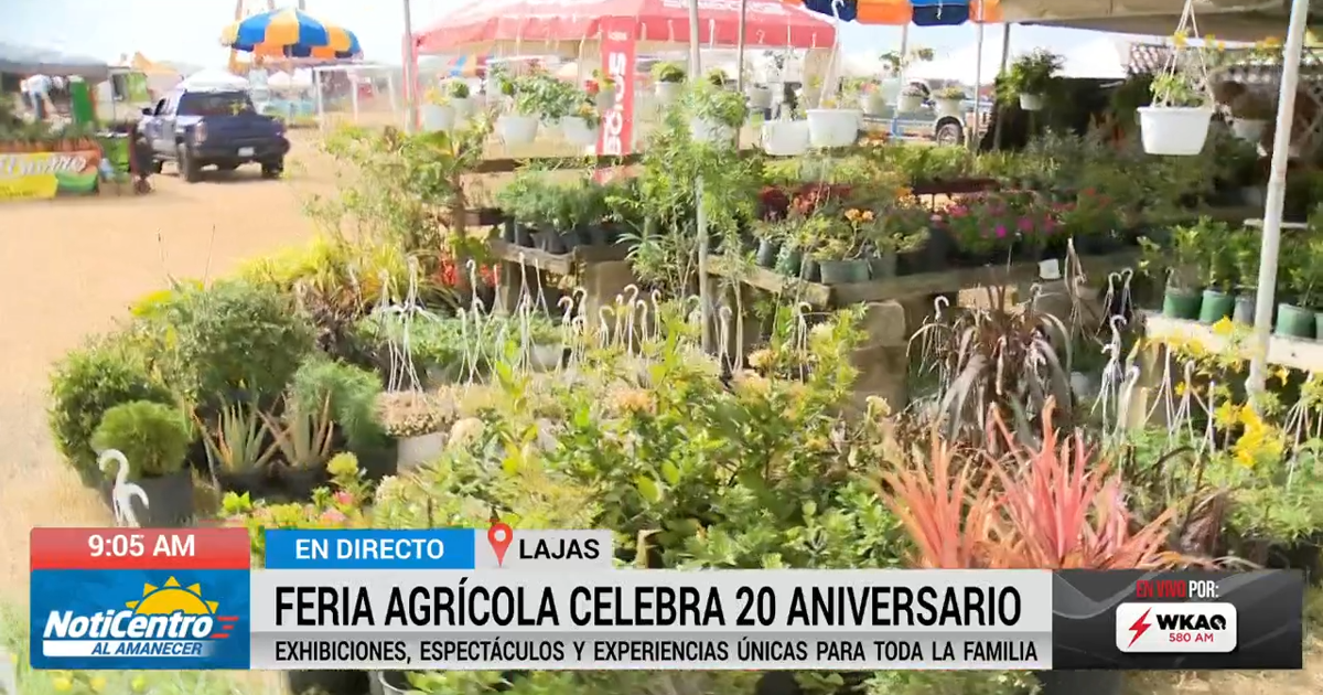 Lajas celebra el vigésimo aniversario de su Feria Nacional Agrícola