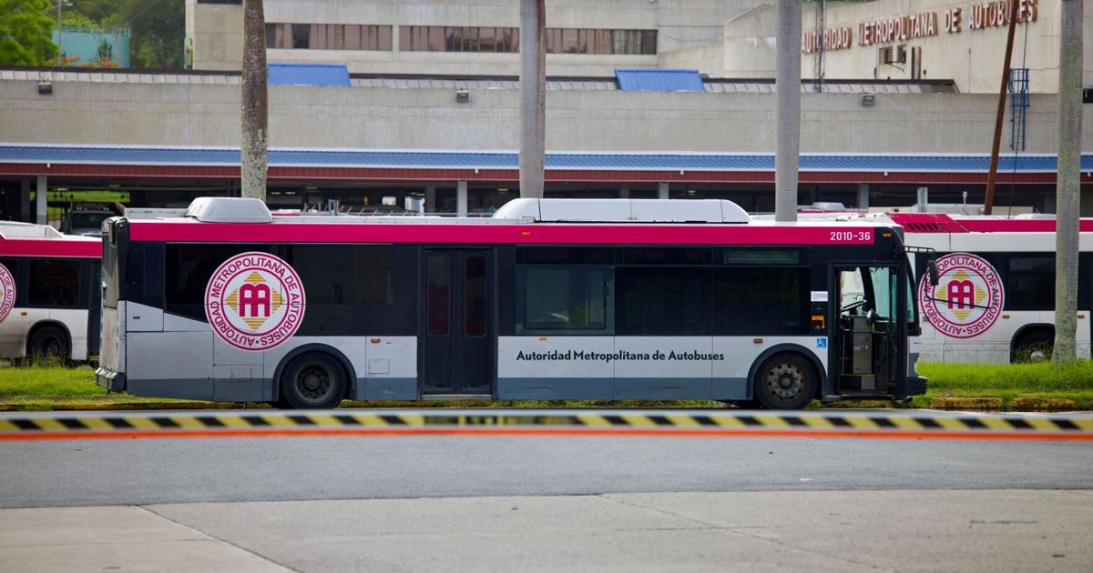 Aplicación de AMA Móvil busca modernizar el sistema de transporte
