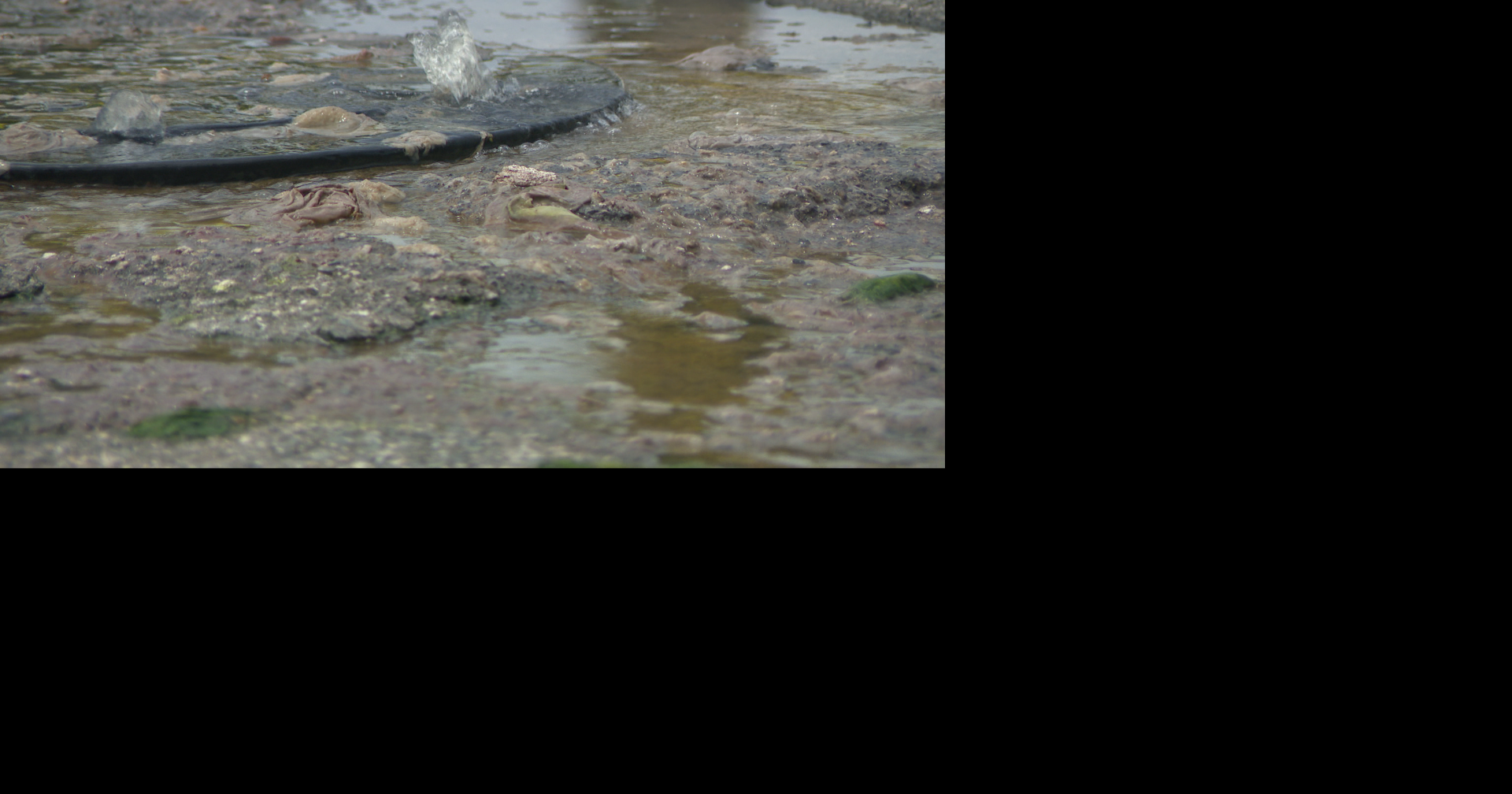 Aguas residuales desbordan calle en Camuy por planta de bombeo fuera de servicio