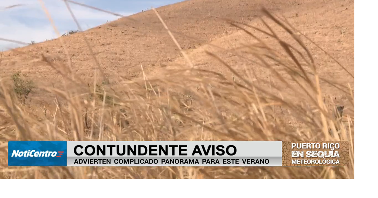 Investigadores del RUM advierten posible sequía prolongada para este verano en PR