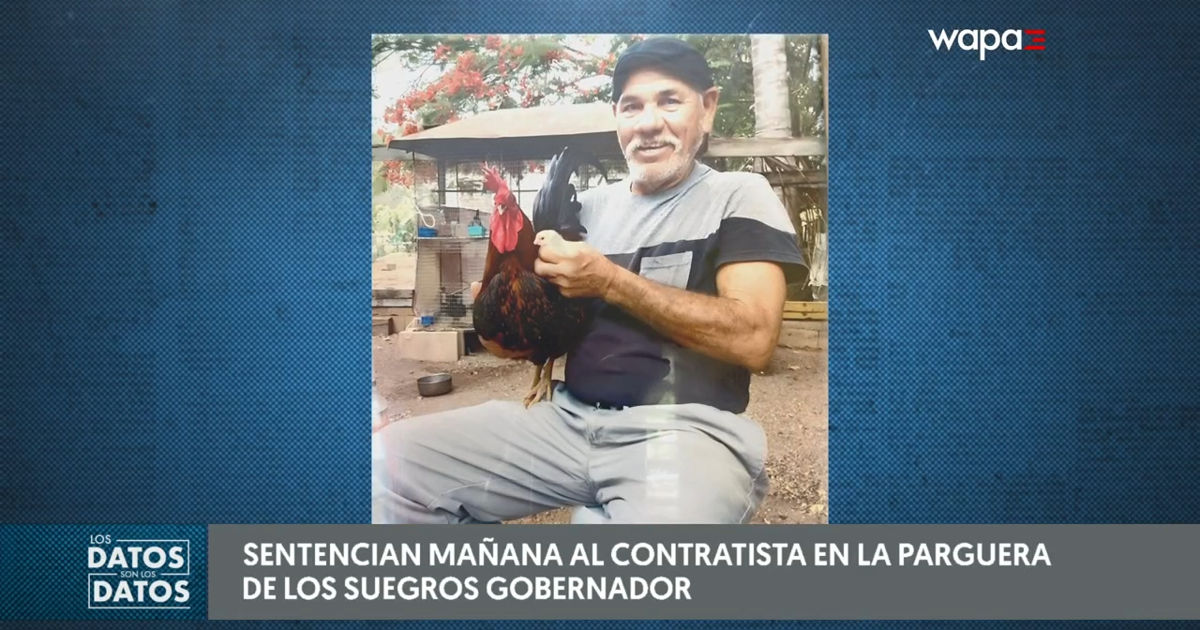 Contratista de La Parguera será sentenciado este miércoles por posesión ilegal de armas