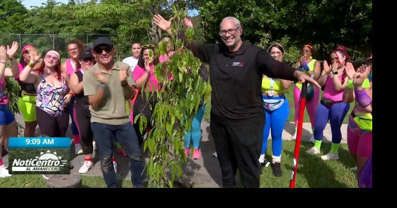 Así Lo Hago Yo: Siembran 400 árboles en Bayamón