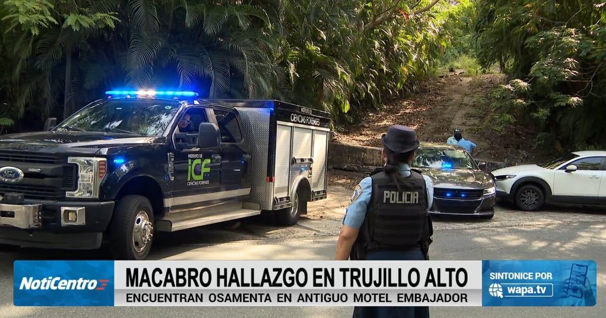 Evalúan registro de personas desaparecidas tras hallazgo de osamenta en Trujillo Alto