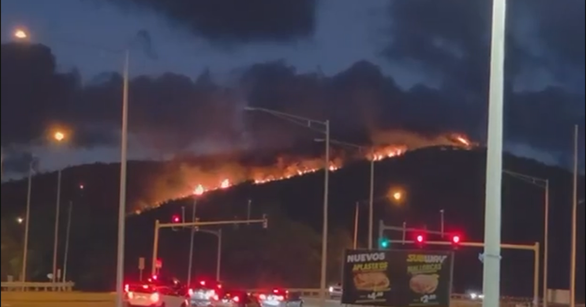 Alerta por incendios forestales: seis municipios afectados en 24 horas en Puerto Rico