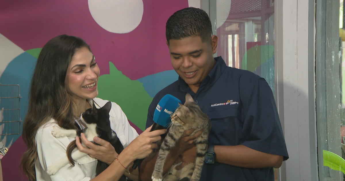 Meteorólogo Carlos Omar Rivera adopta un gatito del albergue de animales de San Juan