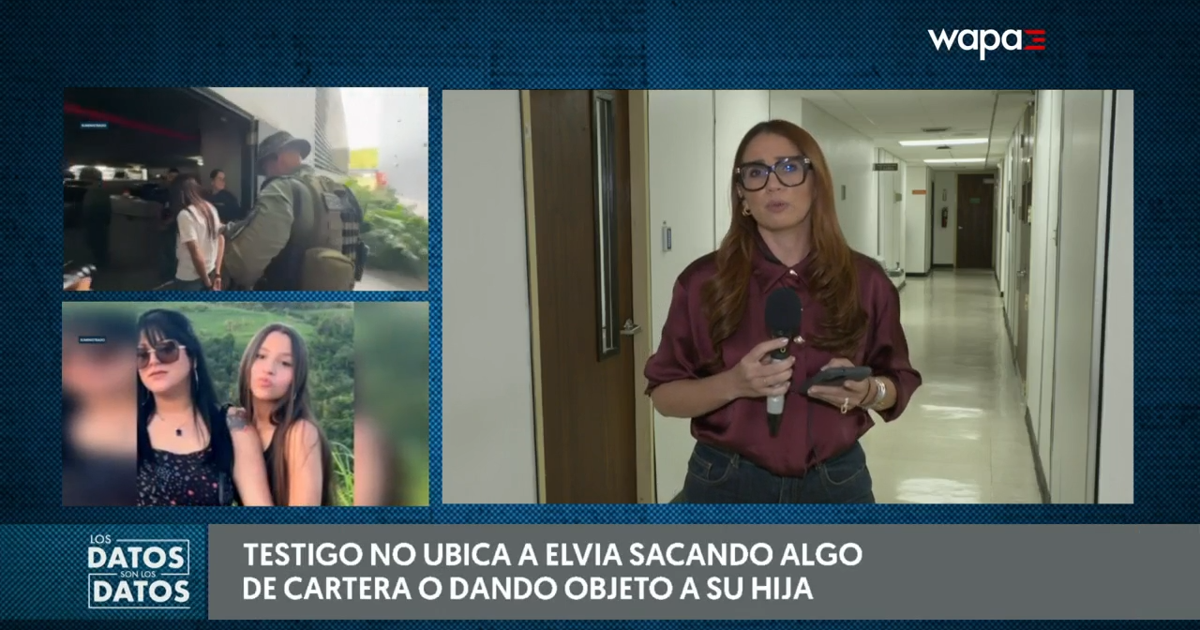 Testigo no ubica a Elvia Cabrera sacando objeto punzante la noche del asesinato de Gabriela Nicole
