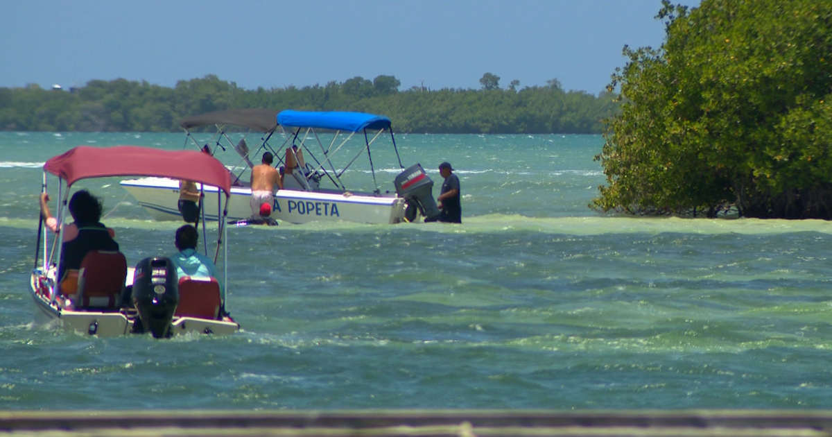 Anciano muere ahogado en playa Polita de Salinas tras dinámica bajo el agua
