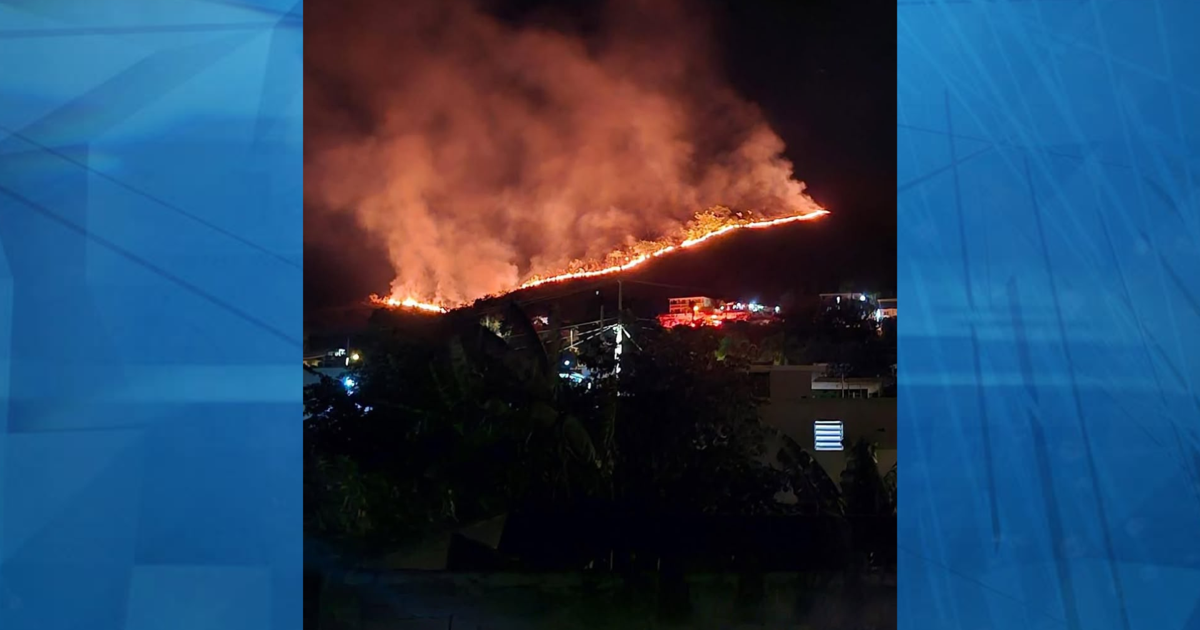 Incendio forestal afecta múltiples sectores de Sabana Grande
