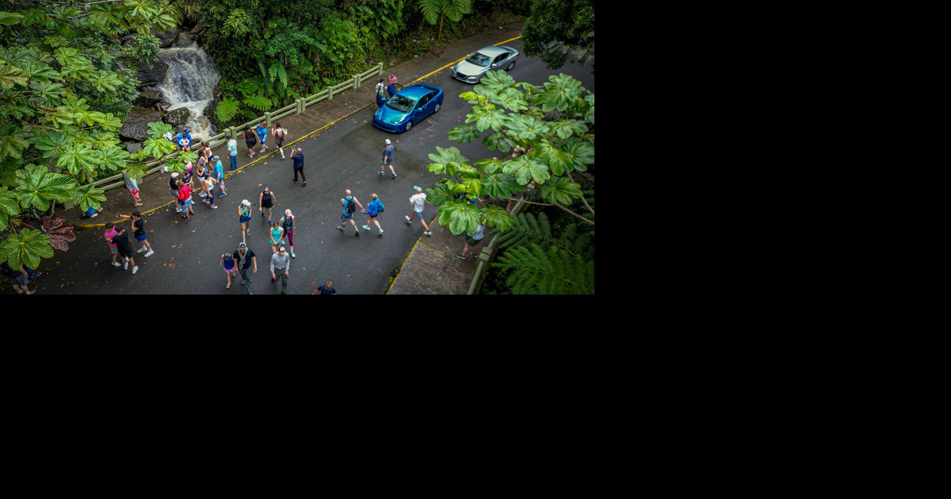 Reportan cuatro personas atrapadas por las corrientes de agua en El Yunque